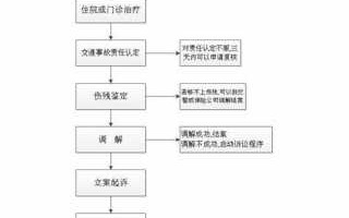 人被车撞的处理流程（人被车撞了怎么处理人怎么处理）