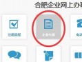 合肥公司年审流程（合肥公司查询网上查询）