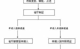 广州报护照流程（广州护照办理2021年最新消息）