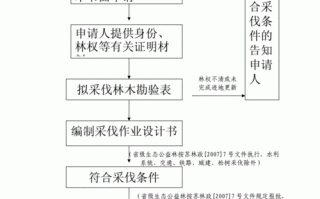 砍伐林地的流程（砍伐森林需要办什么手续）