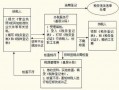 国税地税办税流程（地税办理流程）