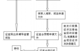 股份成立流程（股份成立流程是什么）