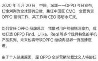 oppo公司辞职流程（oppo员工离职）