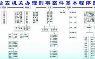 轻伤害案办案流程（轻伤案件流程）