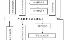 村民委员选举流程（村民委员会选举流程图）