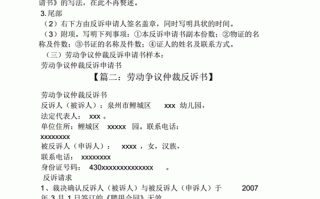 劳动仲裁流程反诉（劳动仲裁公司反告）