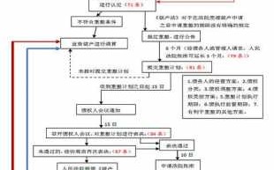 上市公司申请破产流程（上市公司申请破产流程是什么）