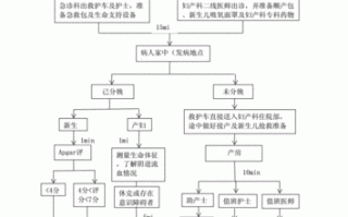 分娩证办理流程（分娩证明怎么办理）