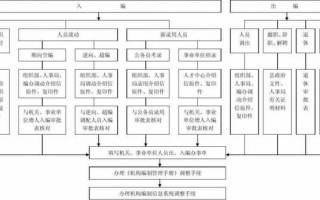 大学入编流程（大学生入编）