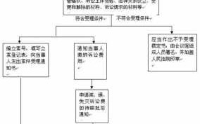 审理违纪案件流程（审理程序违法指什么）