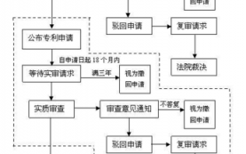 泉州申请专利流程（泉州市专利奖评奖规定）