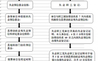 再就业退还失业金流程（再就业失业金怎么办）