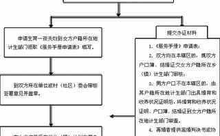 计划生育手册办理流程（计划生育手册办理流程）