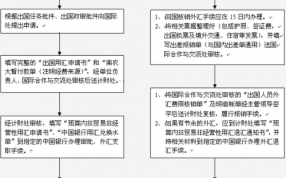 个人外汇审批流程（个人外汇管理局申请外汇额度）