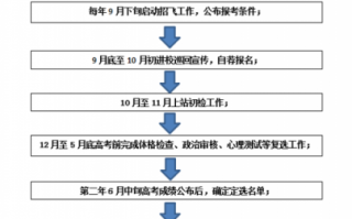 飞行员辞职流程（飞行员辞职流程图）