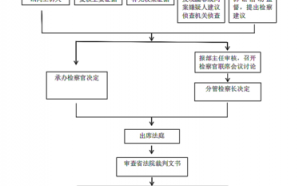 上诉什么流程（上诉的流程是什么）