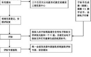 政府电子投标流程（政府采购电子投标文件编制及上传）