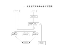 项目环保许可流程（环保项目审批流程）