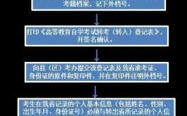 办理转档案流程（转档案需要什么证件）