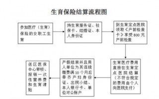 生育金办理流程（生育金办理流程图）