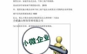 微小型企业注册流程（小微企业注册需要什么条件）