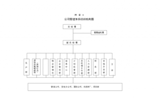 公司流程方面主管（公司流程管理组织架构主要包括）