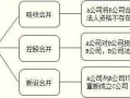 企业控股合并的流程（控股公司合并）