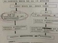 沈阳怀孕手续流程（沈阳孕检免费政策）