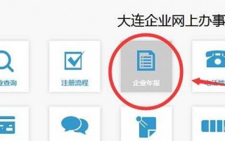 大连公司年审流程（大连企业年报系统）