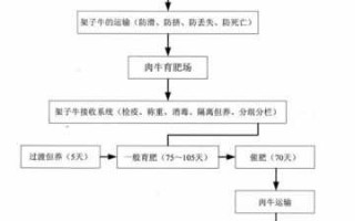 养殖基地流程（养殖基地流程设计）