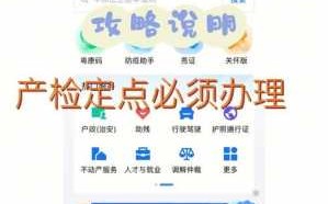 东莞怀孕定点流程（东莞孕检定点需要什么材料?）