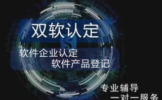 双软企业流程（双软企业最新政策）