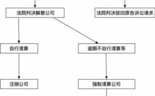 起诉解散公司流程（起诉公司解散程序）