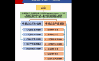 企业年报审计流程（企业年报年审）