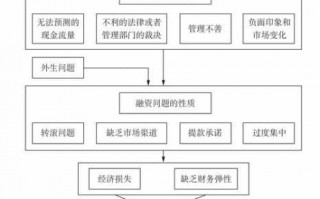 风险融资操作流程（风险融资的定义）