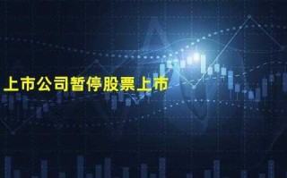 公司暂停上市流程（公司暂停上市流程需要多久）