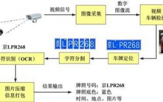 拍车牌操作流程（拍车牌号流程）