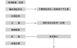 车险出险流程肇事者（车险出车祸后如何处理）