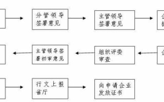 个体增项流程（个体增项流程图）