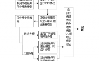 合肥社保报税流程（合肥社保报税流程视频）