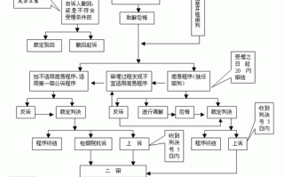 刑事自诉流程（刑事自诉流程是什么）