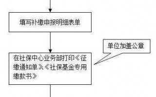 补缴个人社保流程（个人社保补缴的手续）