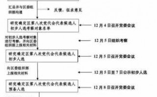 重新选举流程（重新举行大选）