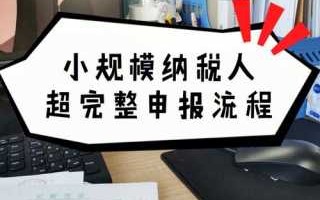 北京小规模报税流程（北京小规模纳税人报税流程）