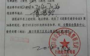 海城交罚单流程（海城交通罚款在哪交）