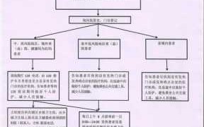 医疗的流程（医疗流程中有设置计价前处方审核环节的证明材料）