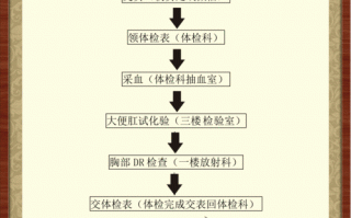 国际健康证流程（国际健康证都体检哪些）