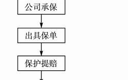 中国人寿保险的流程（中国人寿如何）