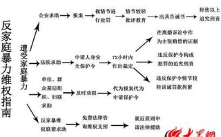 家暴报警验伤流程（家暴报警后处理流程）