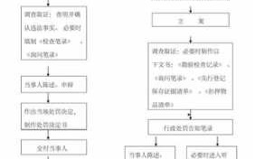 处罚管理流程（处罚管理流程图片）